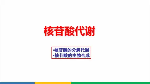 高中生物核苷酸代谢精品PPT课件