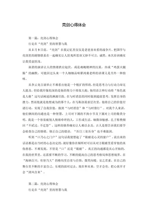亮剑心得体会