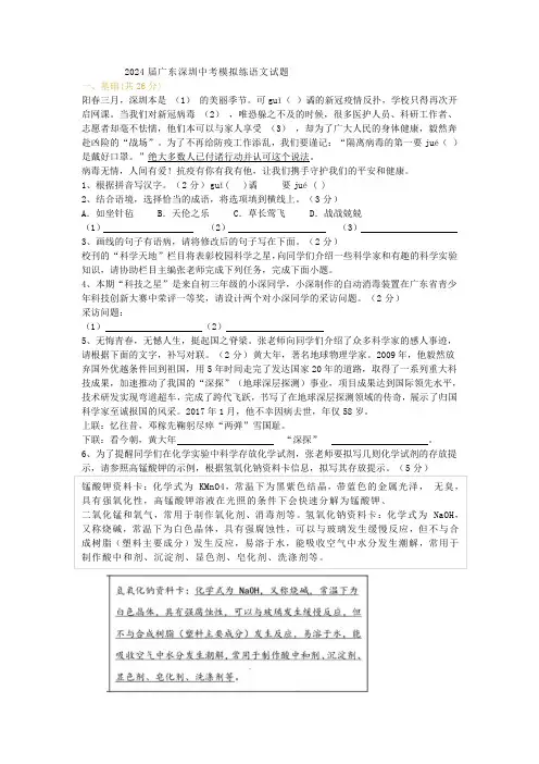 2024届广东深圳中考模拟练语文试题及答案