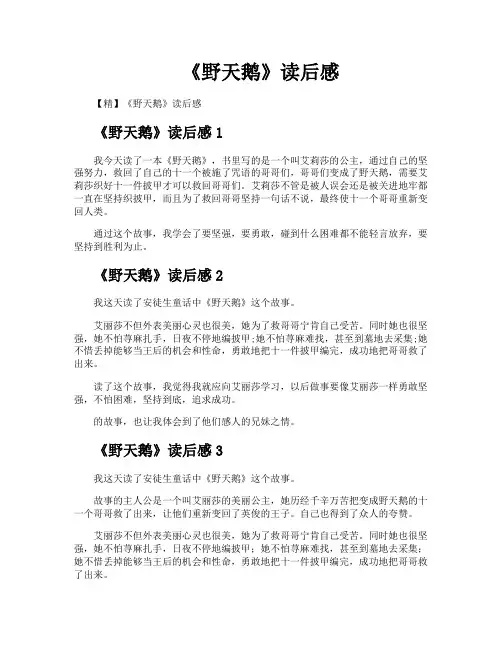 《野天鹅》读后感