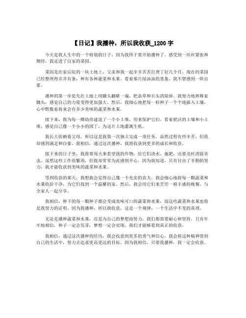 【日记】我播种,所以我收获_1200字