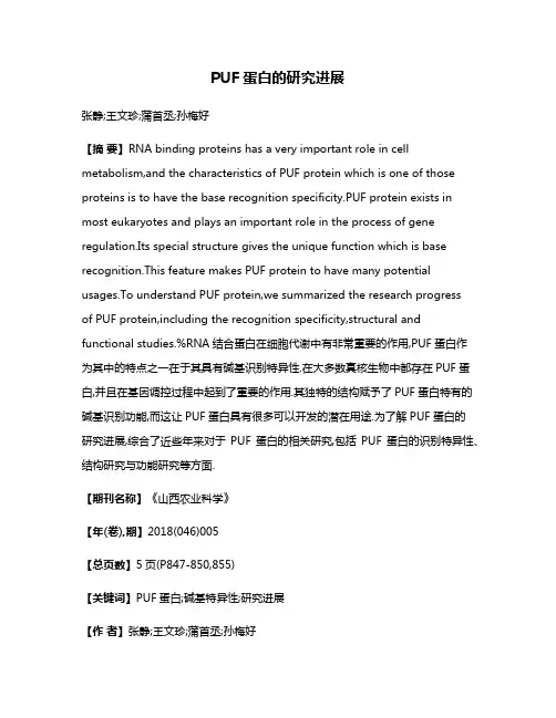 PUF蛋白的研究进展