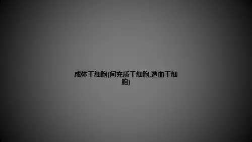 成体干细胞(间充质干细胞,造血干细胞)ppt课件