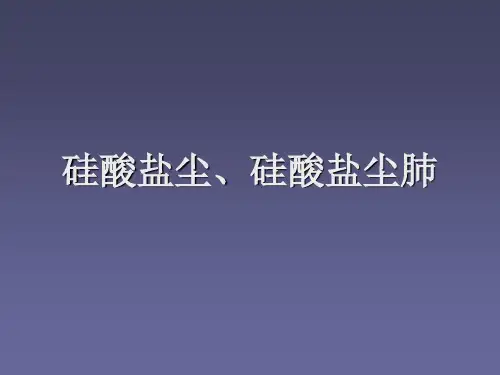 硅酸盐尘肺ppt课件