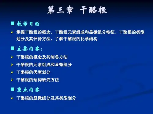 第三章  干酪根