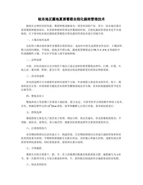 皖东地区露地夏黑葡萄全程化栽培管理技术