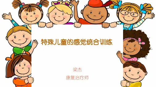 6.特殊儿童感觉统合训练
