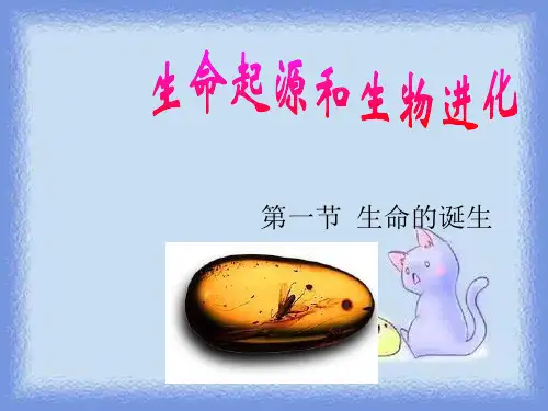八下 24.1 《 生命的诞生》