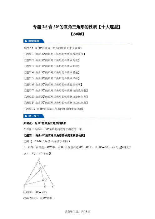 专题2.6含30°的直角三角形的性质【十大题型】-2024-2025学年八年级数学上(1)[含答案]