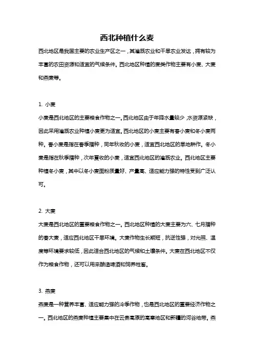 西北种植什么麦