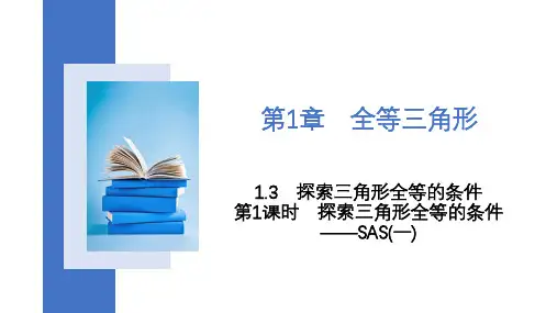 1.3 第1课时 探索三角形全等的条件——SAS(一) 课件 2023—2024苏科版数学八年级上册