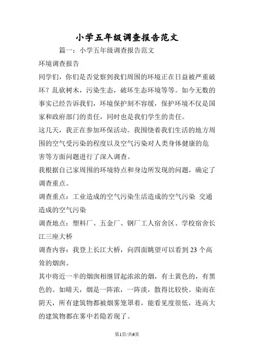 小学五年级调查报告范文