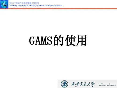 GAMS程序的使用ppt课件