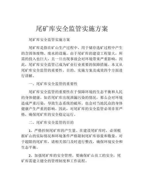 尾矿库安全监管实施方案