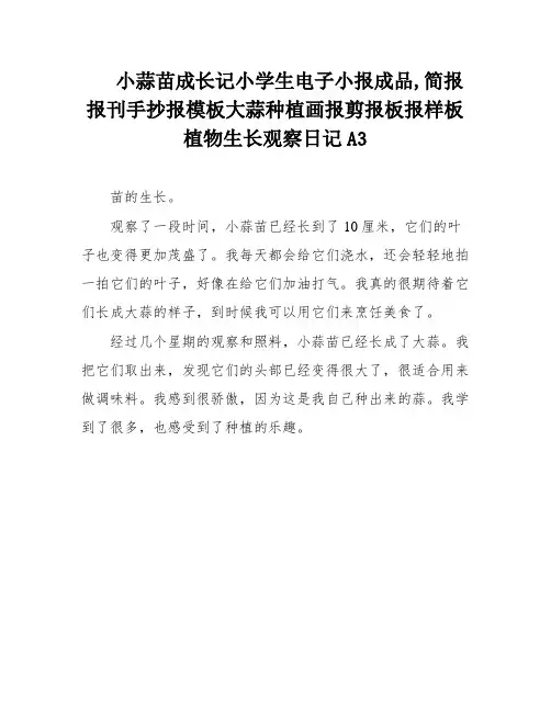 小蒜苗成长记小学生电子小报成品,简报报刊手抄报模板大蒜种植画报剪报板报样板植物生长观察日记A3