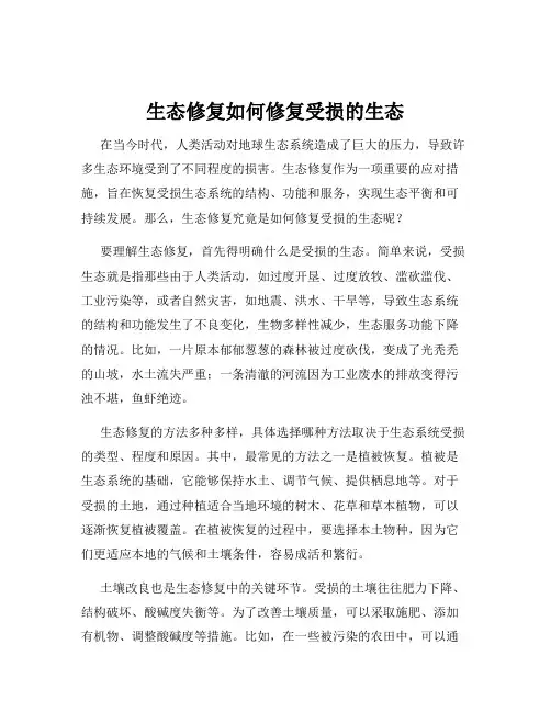 生态修复如何修复受损的生态