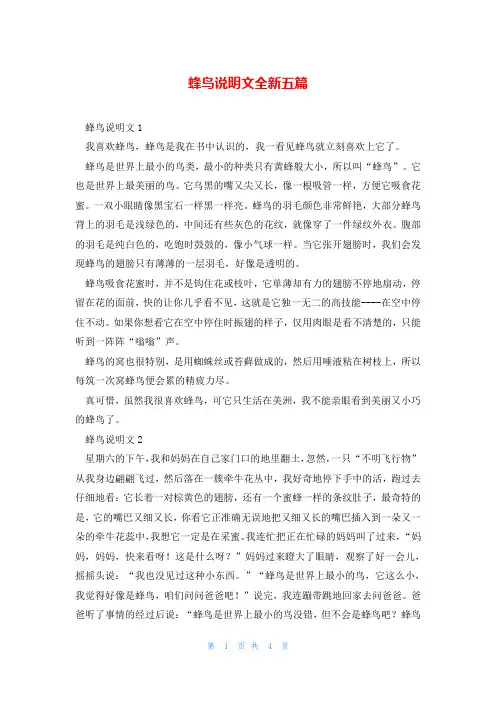 蜂鸟说明文全新五篇