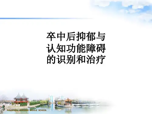 卒中后抑郁与认知功能障碍的识别和治疗_ppt课件