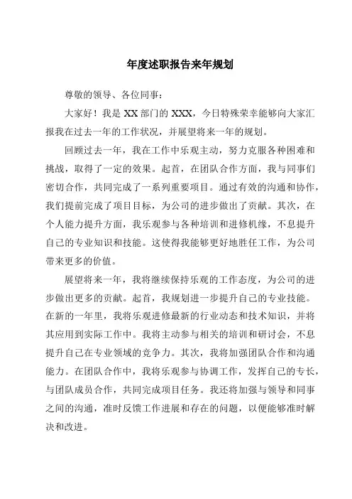 年度述职报告来年计划