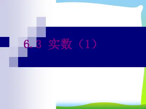 【新】人教版七年级数学下册第六章《实数(1)》精品课件 (4).ppt