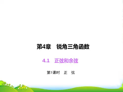 湘教版九年级数学上册课件4.1.1正弦