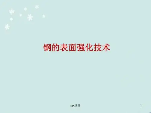 钢的表面强化技术  ppt课件