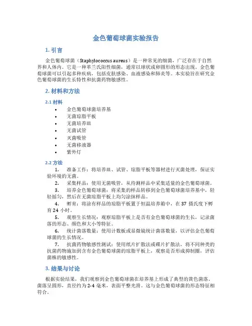 金色葡萄球菌实验报告