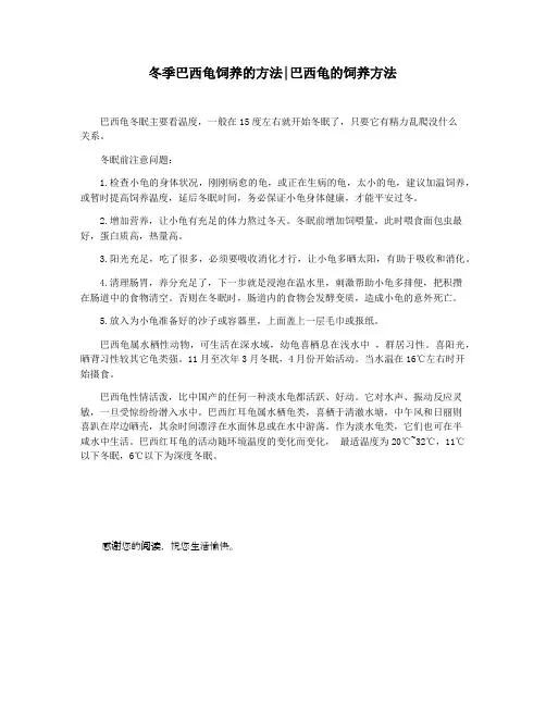 冬季巴西龟饲养的方法巴西龟的饲养方法