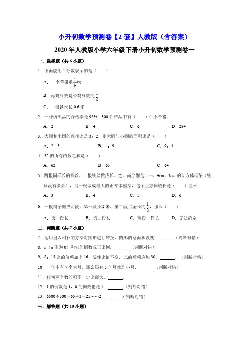 六年级下册数学试题 -小升初数学预测卷【2套】人教版(含答案)