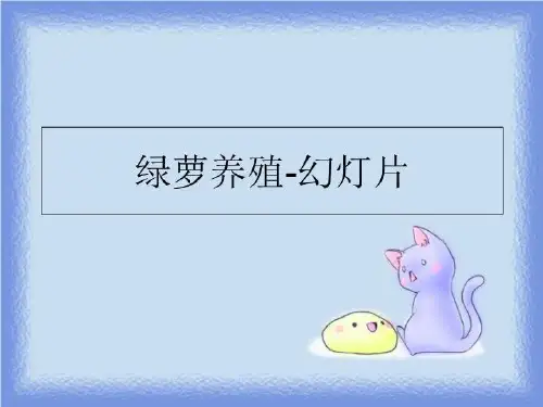最新绿萝养殖-幻灯片PPT课件