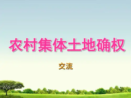 农村土地确权ppt下载