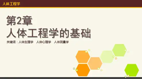 人体工程学的基础