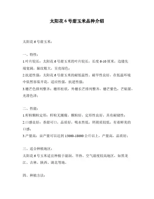 太阳花6号甜玉米品种介绍