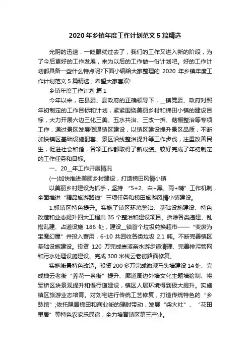 2020年乡镇年度工作计划范文5篇精选