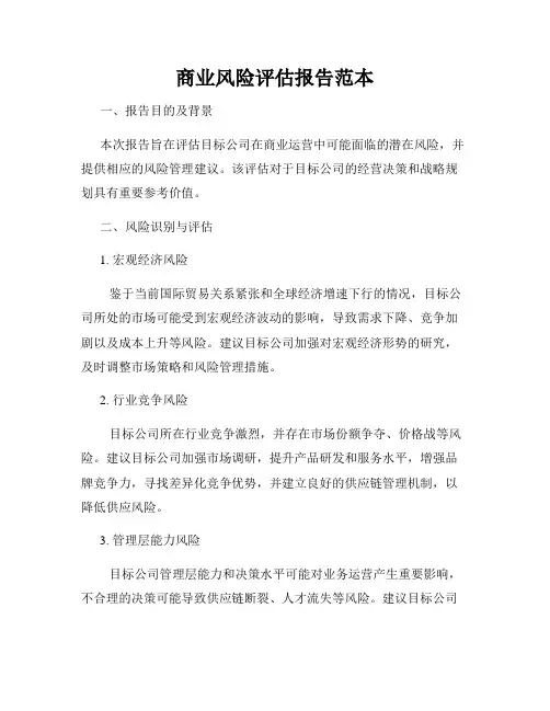 商业风险评估报告范本
