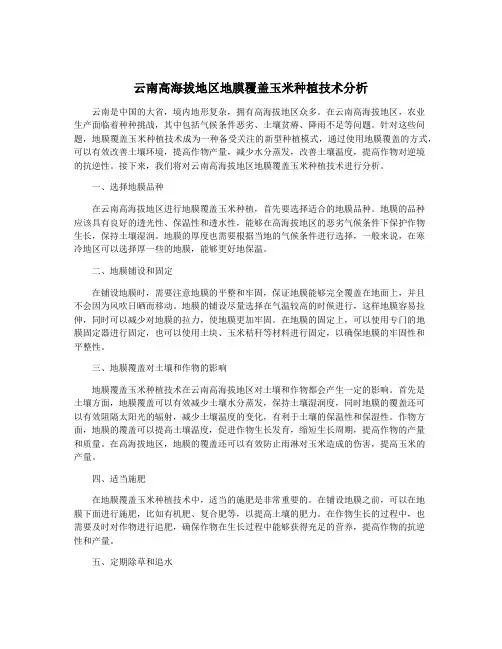 云南高海拔地区地膜覆盖玉米种植技术分析