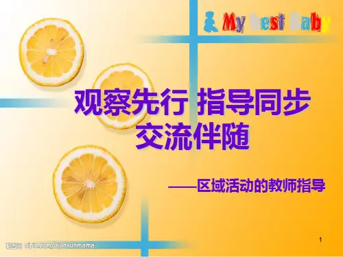 区域活动的教师指导ppt课件