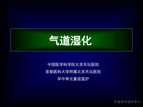 气道湿化ppt课件