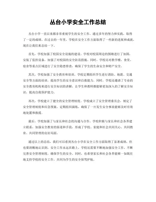 丛台小学安全工作总结