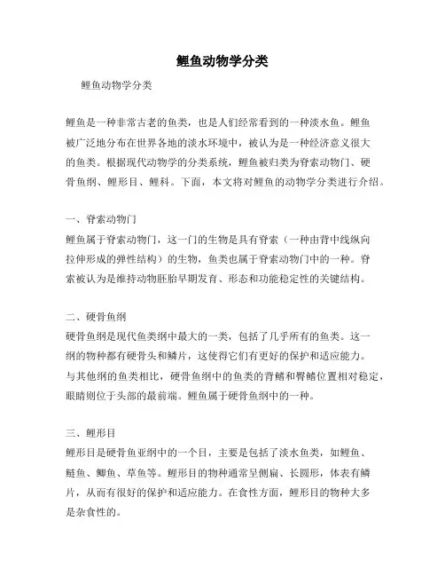 鲤鱼动物学分类