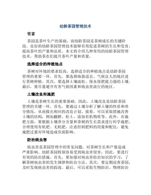 幼龄茶园管理技术
