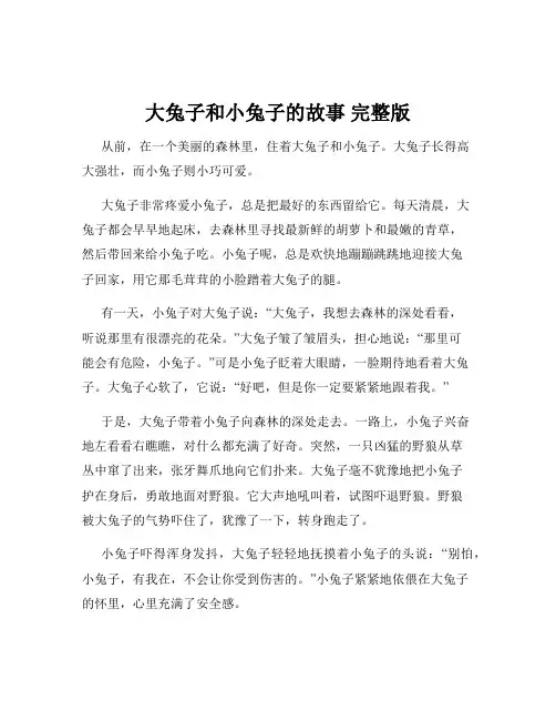 大兔子和小兔子的故事 完整版