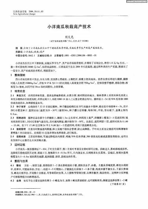 小洋南瓜秋栽高产技术