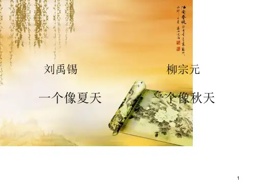 刘柳比较