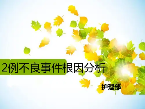 2例不良事-件根因分析 PPT课件