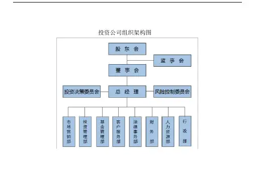 投资公司组织架构和运作流程.docx