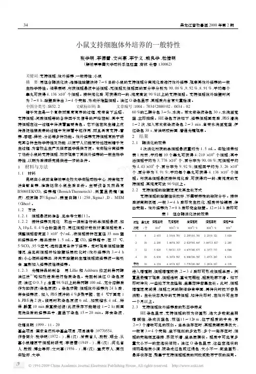 小鼠支持细胞体外培养的一般特性