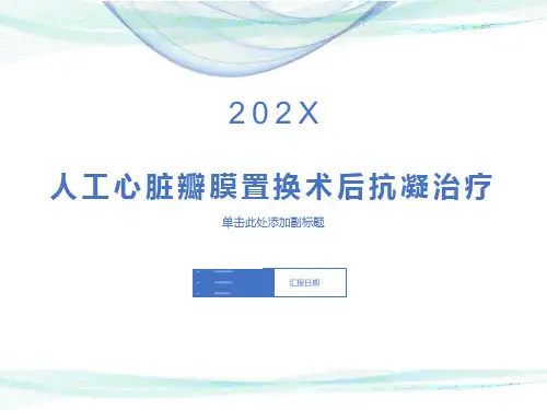 机械瓣置换术后抗凝