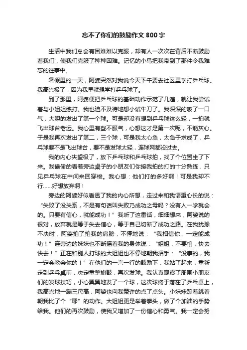 忘不了你们的鼓励作文800字