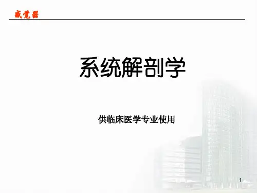 系统解剖学课件-第十四章 视器